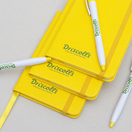 Driscolls500 Driscolls500